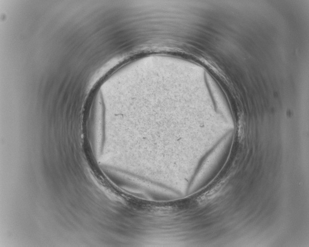 X0000057080438200510071849