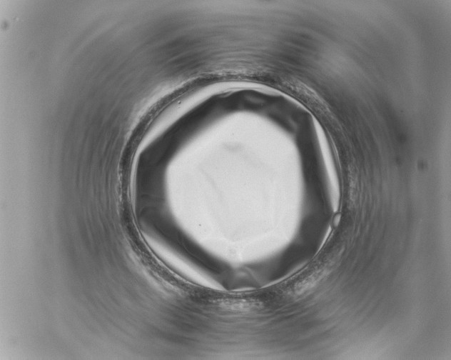 X0000057080439200510071849