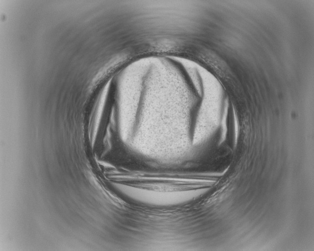 X0000057080442200510071849