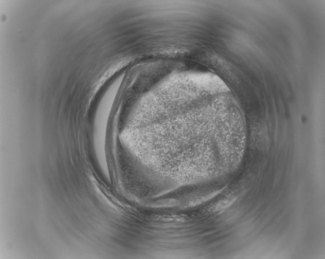 X0000057080443200510071849