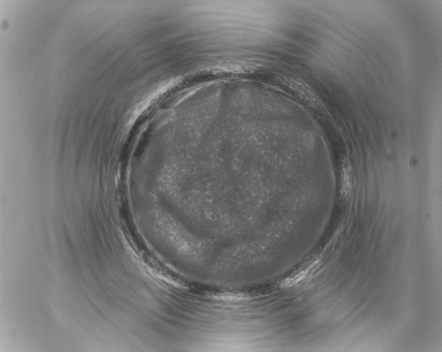 X0000057080444200510071849