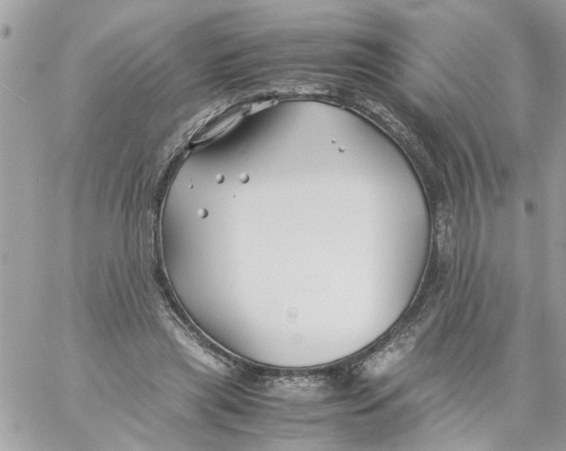 X0000057080445200510071849