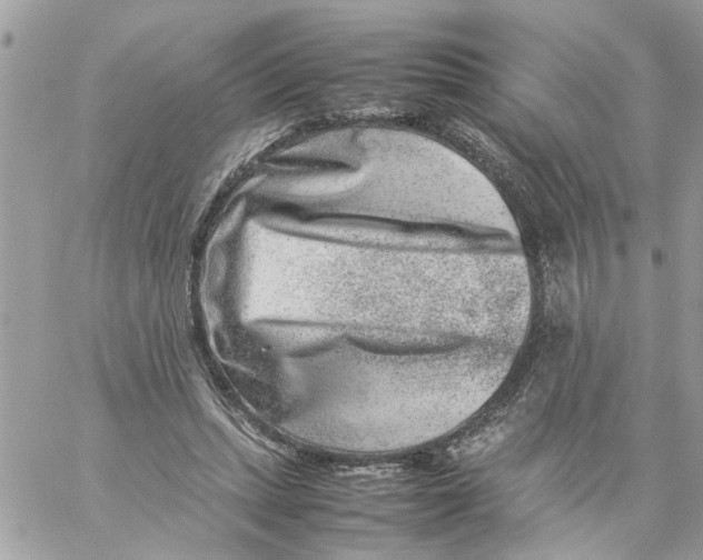 X0000057080447200510071849