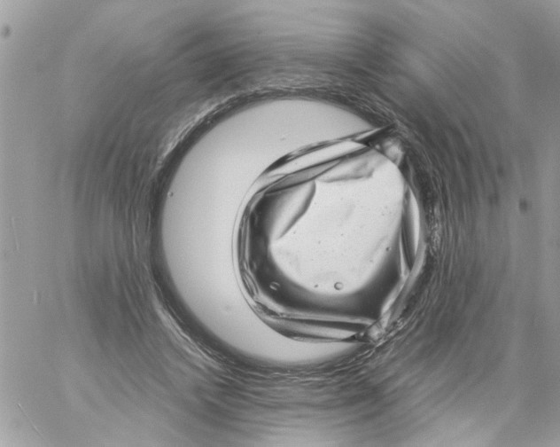 X0000057080448200510071849