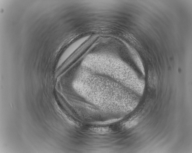 X0000057080449200510071849