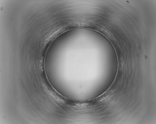 X0000057080450200510071849