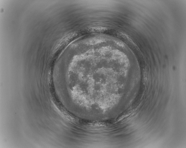 X0000057080451200510071849