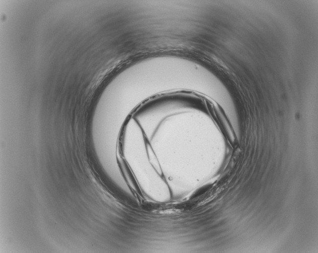 X0000057080452200510071849