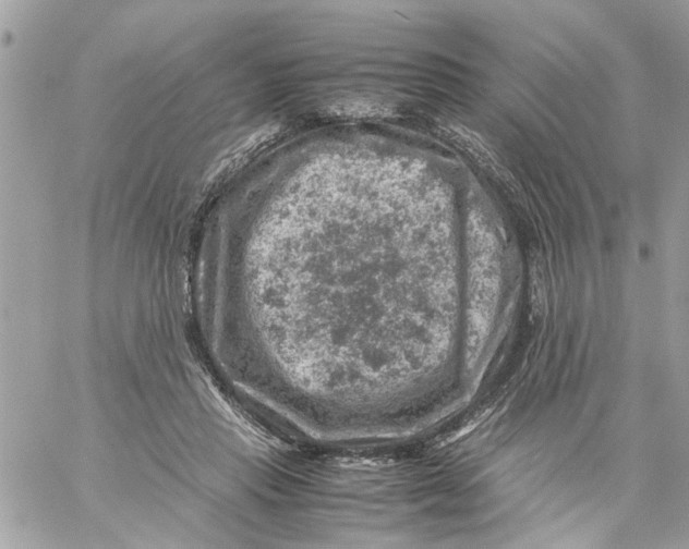 X0000057080453200510071849