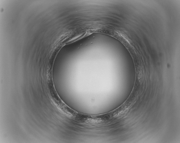 X0000057080455200510071849