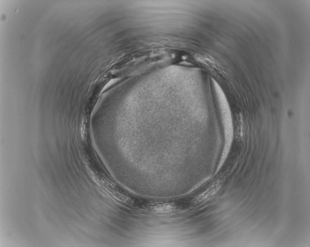 X0000057080456200510071849