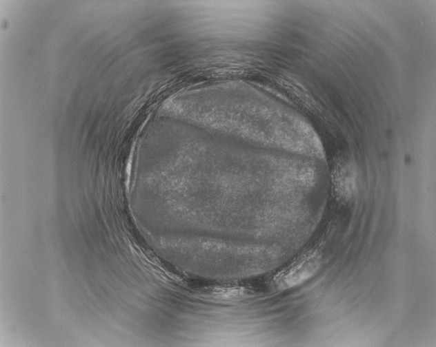 X0000057080458200510071849