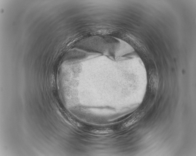 X0000057080459200510071849