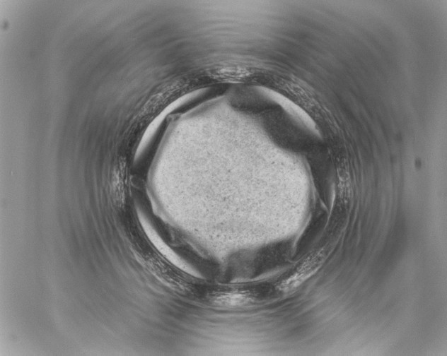 X0000057080460200510071849