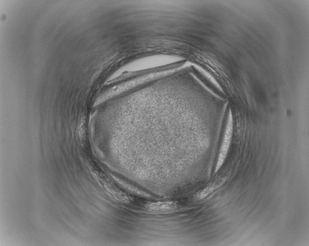 X0000057080461200510071850