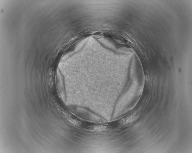 X0000057080462200510071850