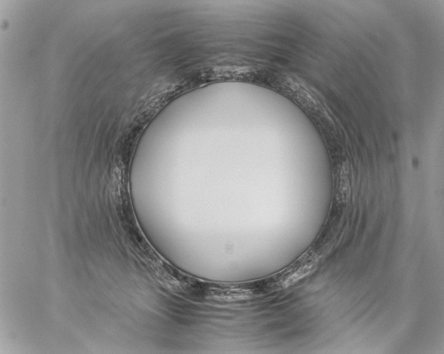 X0000057080463200510071850