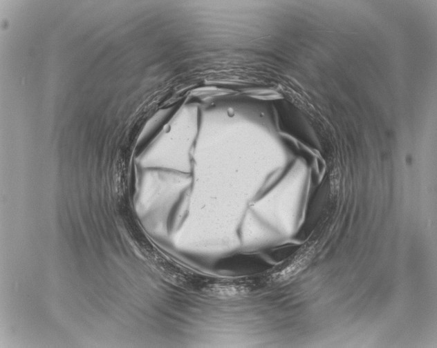 X0000057080464200510071850