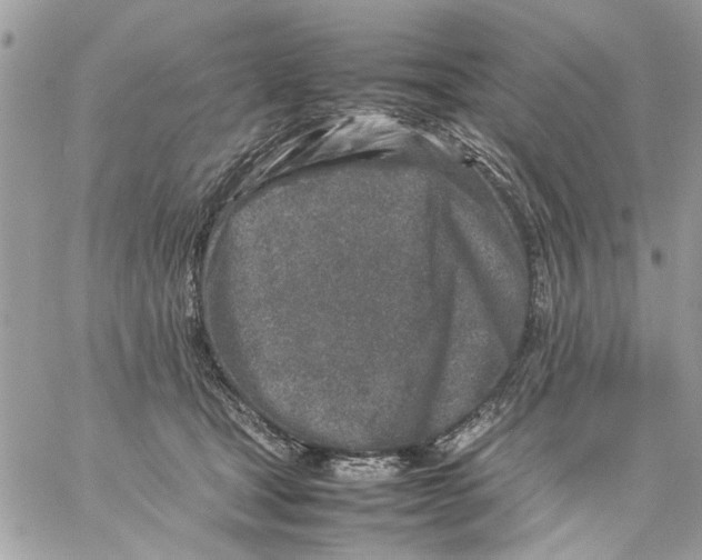 X0000057080465200510071850