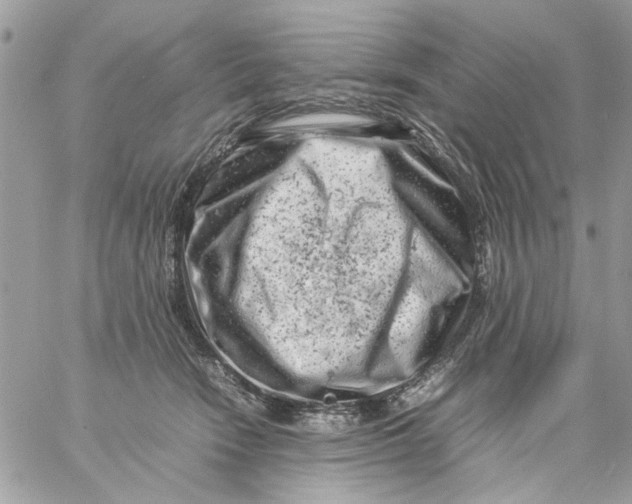 X0000057080466200510071850