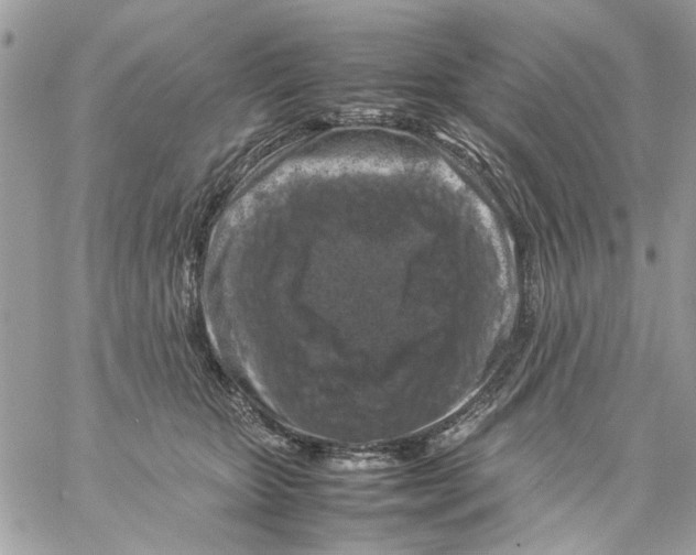 X0000057080467200510071850