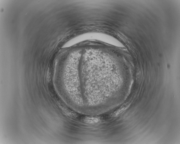 X0000057080469200510071850