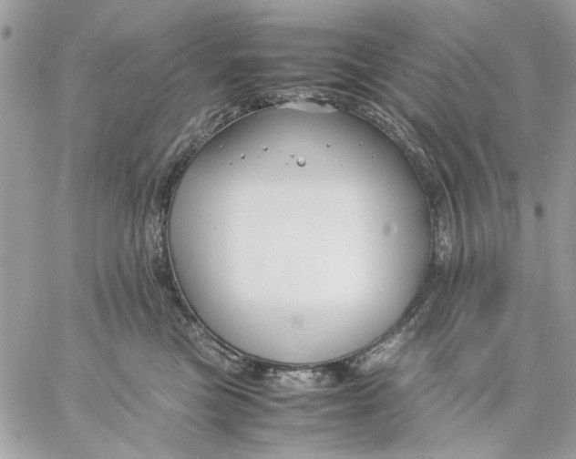 X0000057080473200510071850