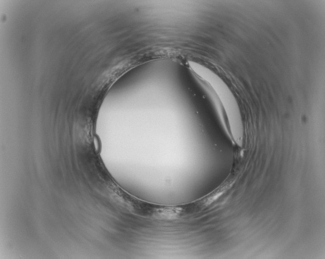 X0000057080474200510071850