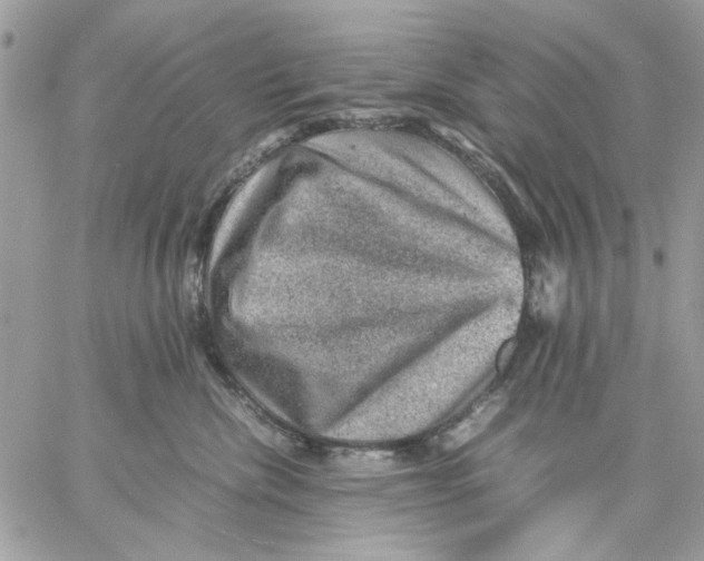 X0000057080476200510071850