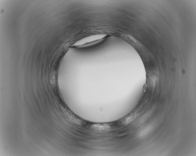 X0000057080477200510071850