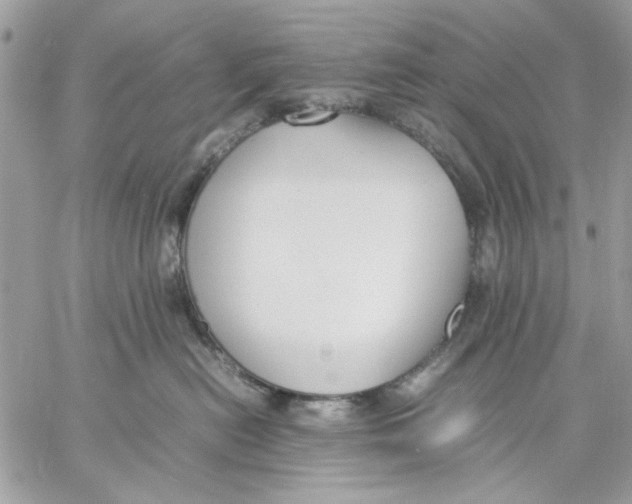 X0000057080478200510071850