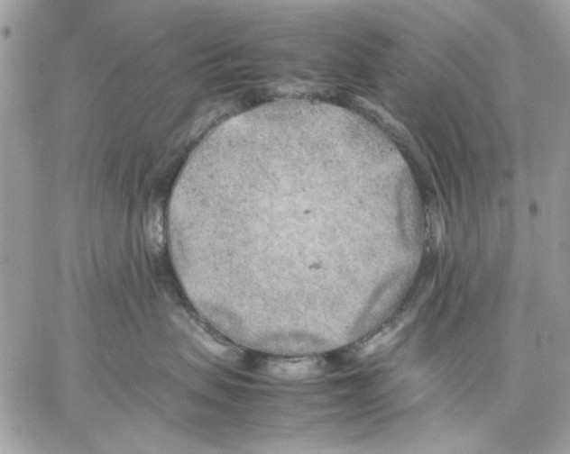 X0000057080479200510071850