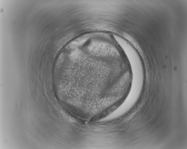 X0000057080481200510071849