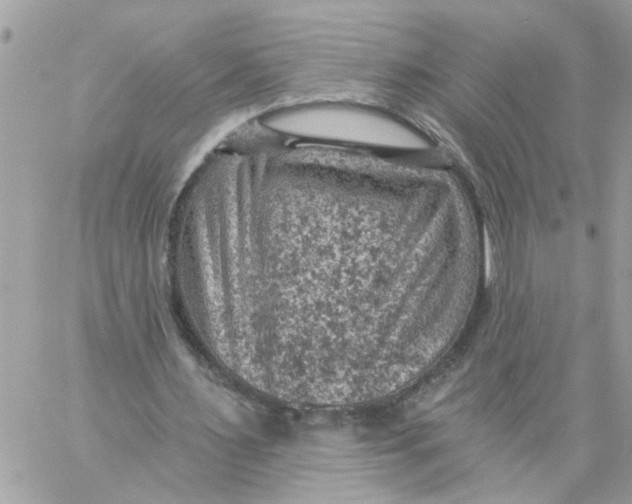 X0000057080483200510071849