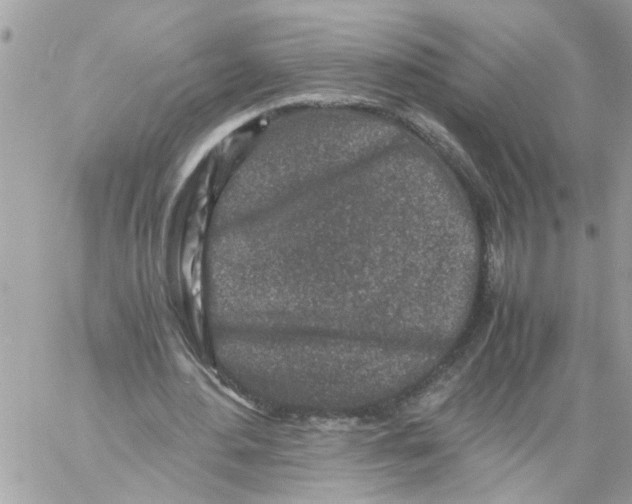 X0000057080484200510071849