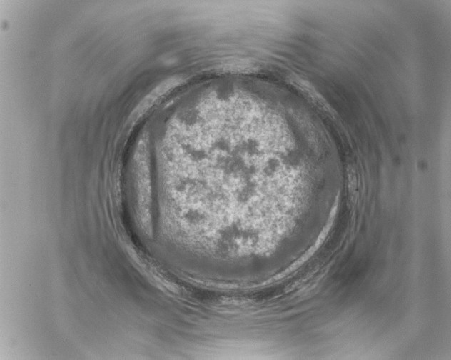 X0000057080487200510071849