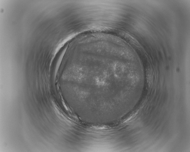 X0000057080488200510071849