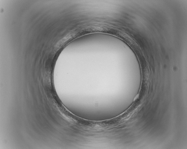 X0000057080489200510071849