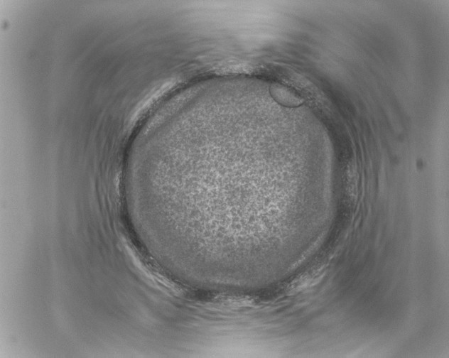 X0000057080491200510071849