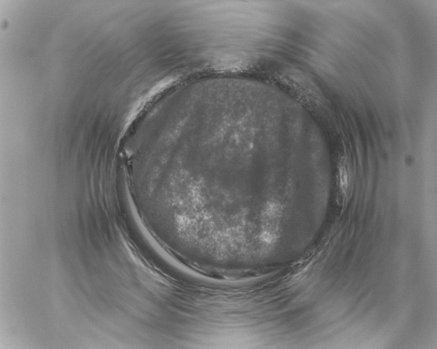 X0000057080492200510071849