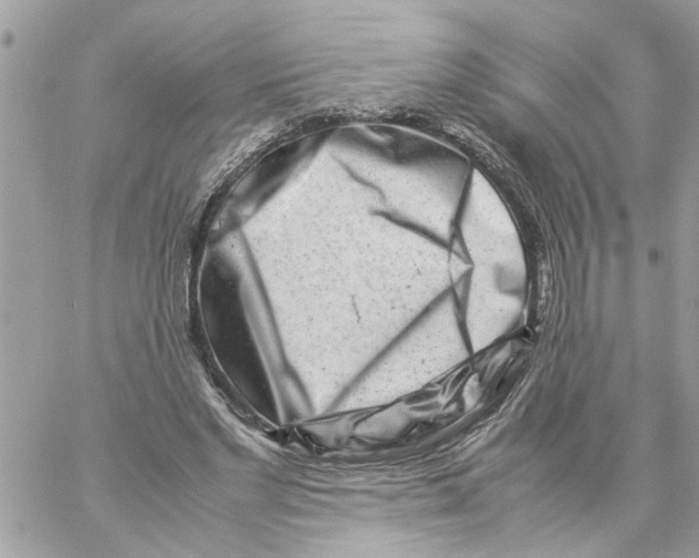 X0000057080493200510071849