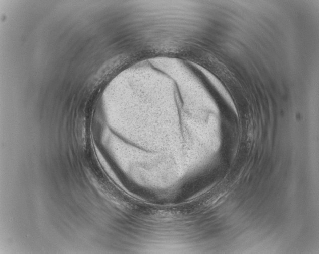 X0000057080494200510071849