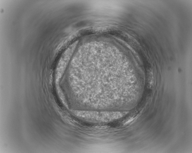 X0000057080495200510071849