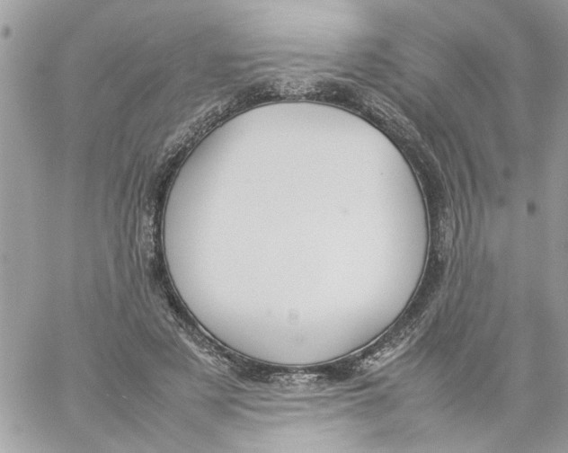 X0000057080497200510071849