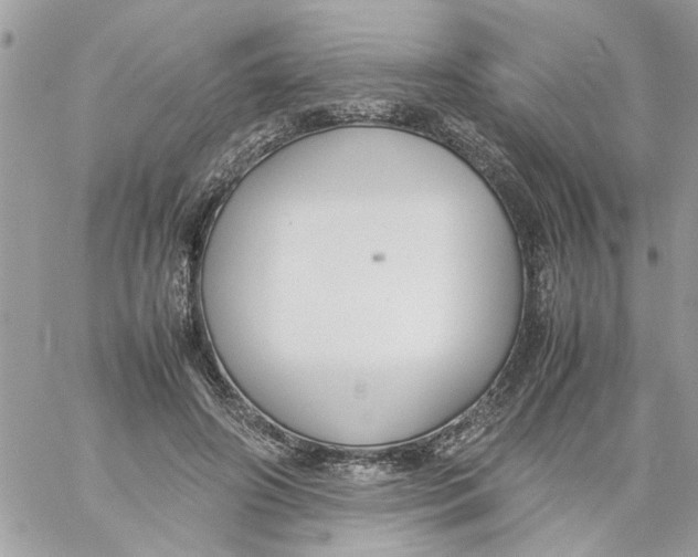 X0000057080498200510071849