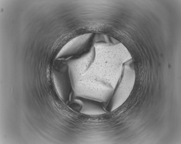 X0000057080502200510071849