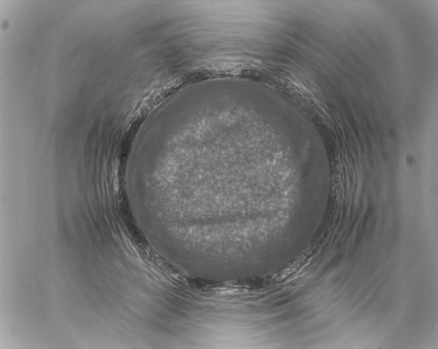 X0000057080504200510071849