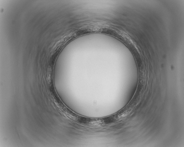 X0000057080505200510071849