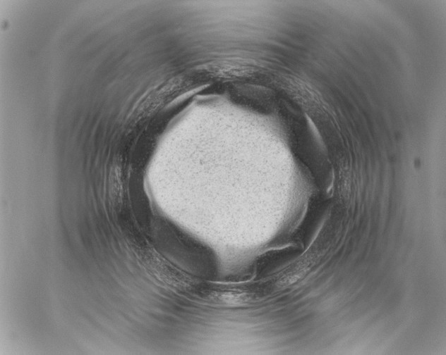 X0000057080506200510071849