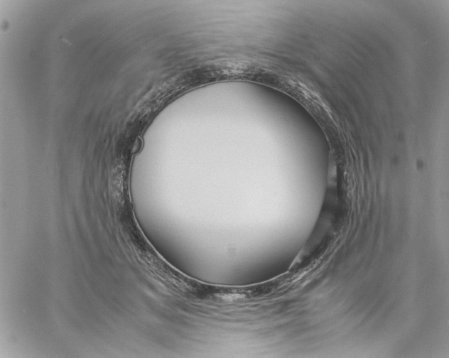 X0000057080509200510071849